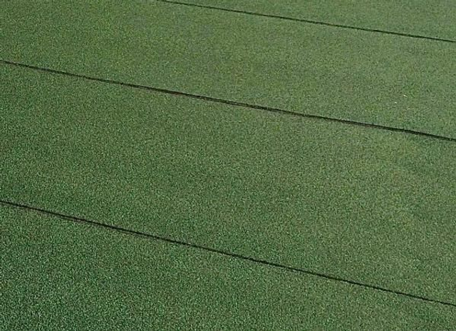 Guaina Ardesiata Verde Sticker - IMPER