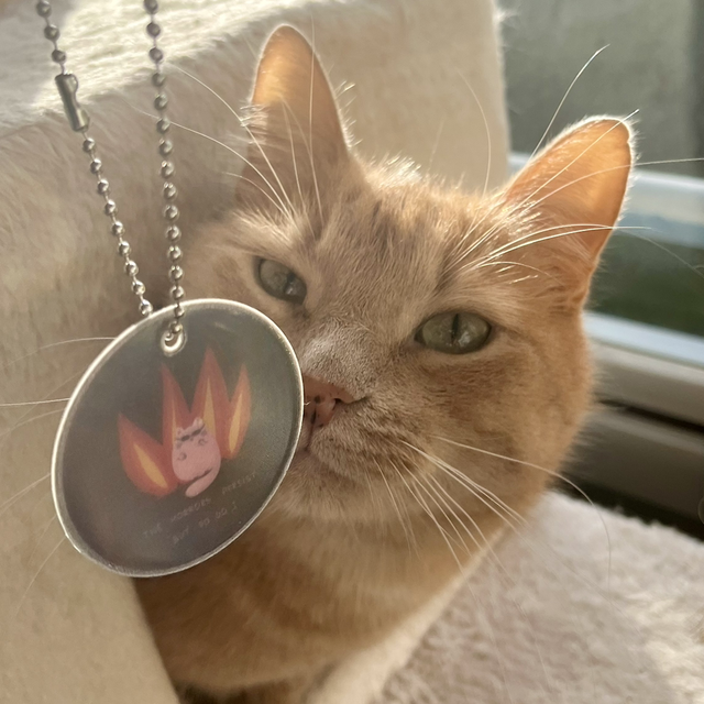 Heijastin “Horrors Persist but So Do I”