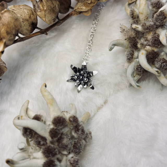 L’éternelle Alpine