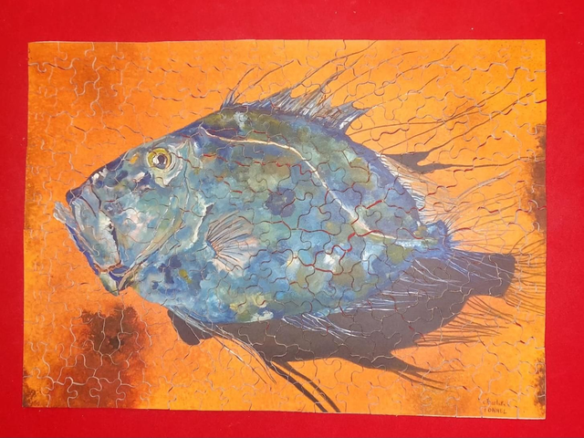 A4 Charlotte Tonnel Saint Pierre 