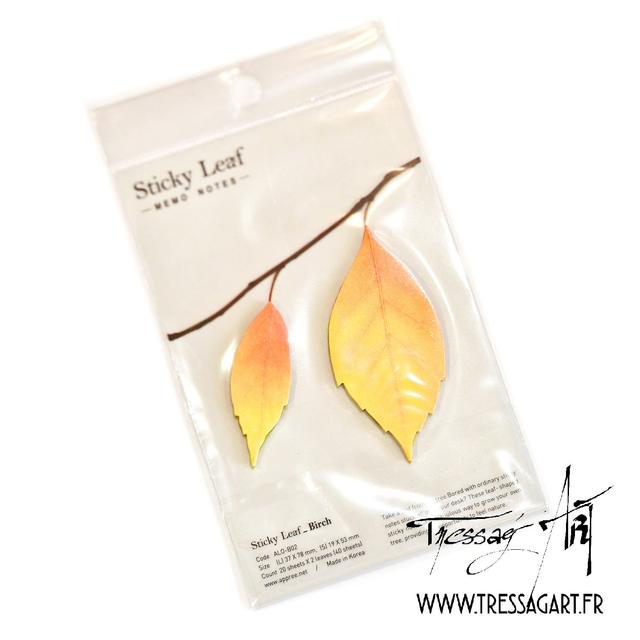 APPREE - MEMO FEUILLES MARRONS - KC049