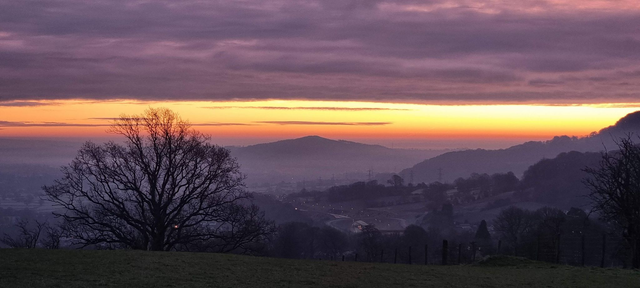 Brush Strokes & Blooms - Wednesday 20th August -Sunrise Edition - 6am -10am