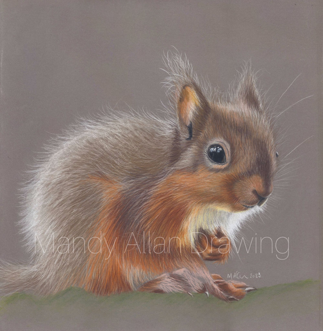 "Little Red at Forest How" Squirrel Limited Edition Print
