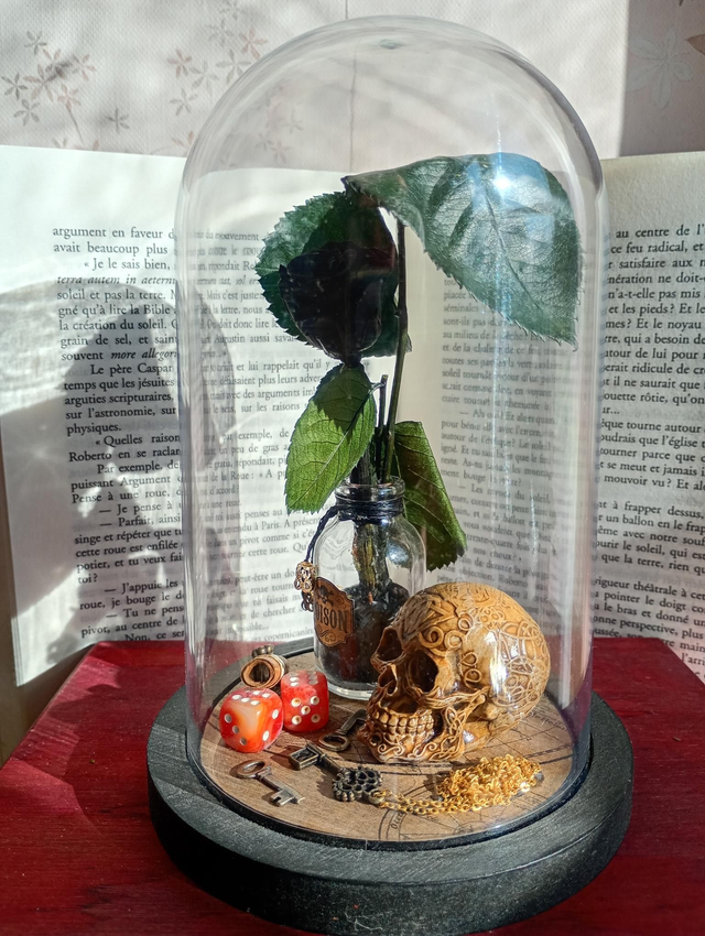 D02 Pirate fleur noire