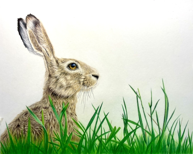 ‘in the long grass’ - ORIGINAL (unframed)