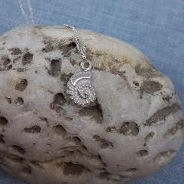 Small ammonite pendant 