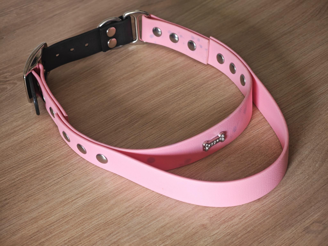 Collier biothane avec poignée intégrée