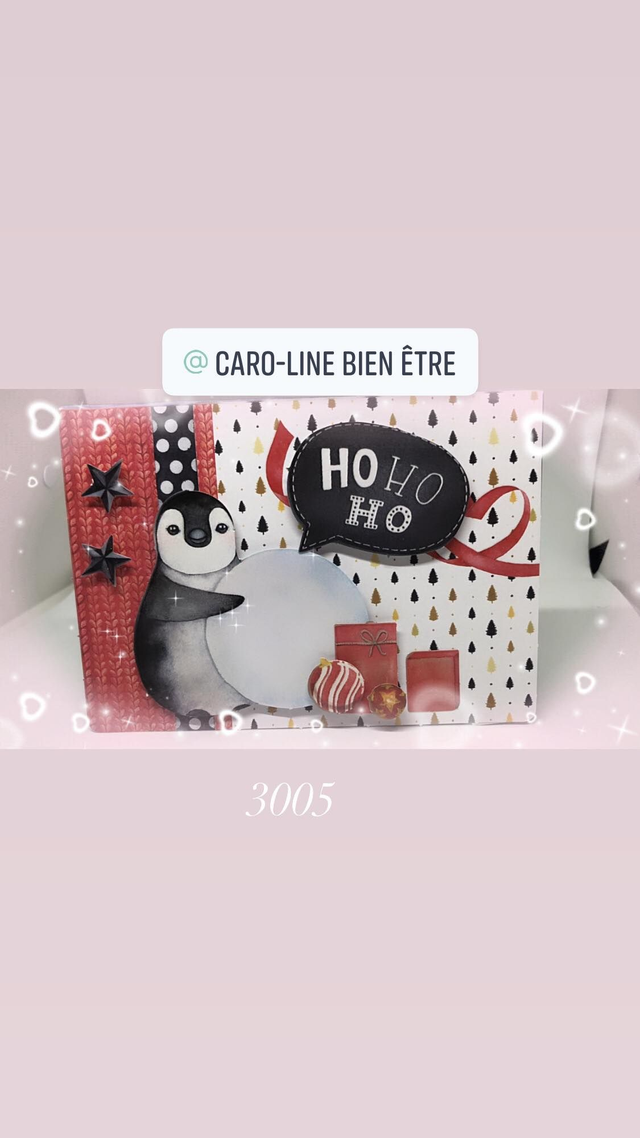 N° 30 Carte de Noel &amp; nouvelle  an 