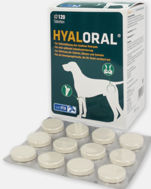 hyalORAL Hund