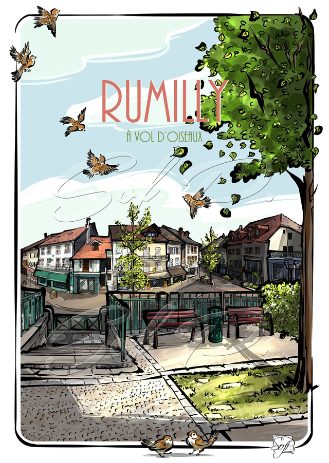 JOLIS VILLAGES - Rumilly à vol d'oiseaux 