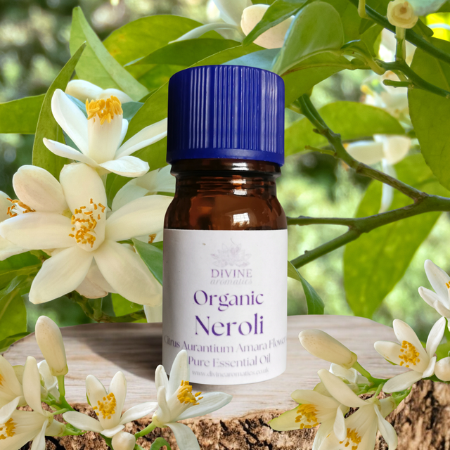 Organic Neroli Essential Oil | Citrus Aurantium Amara Flower Oil