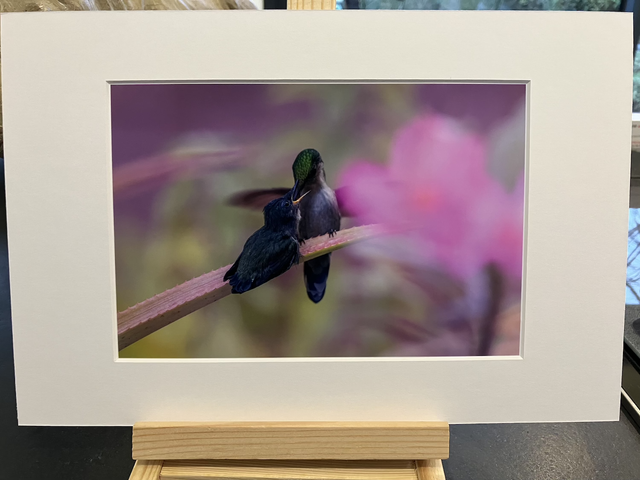 Tirage illimité Calin avec passe-partout  