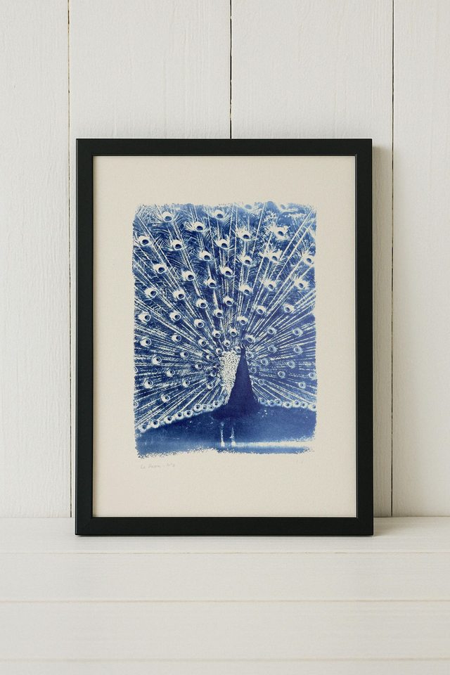 Le Paon N°1 - Format A3, Sans Cadre