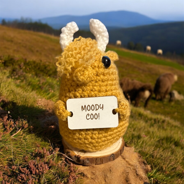 Positive pals highland coo (moody)