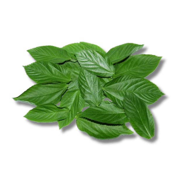 Nigeria Ewedu - per tie 