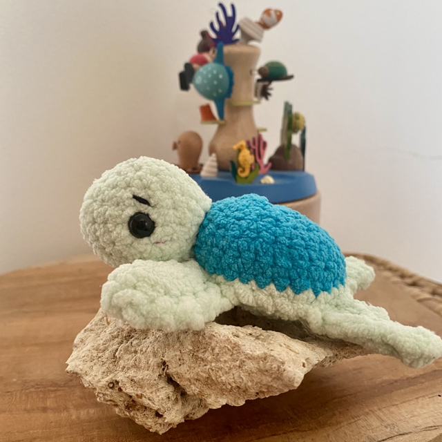 Bébé tortue 