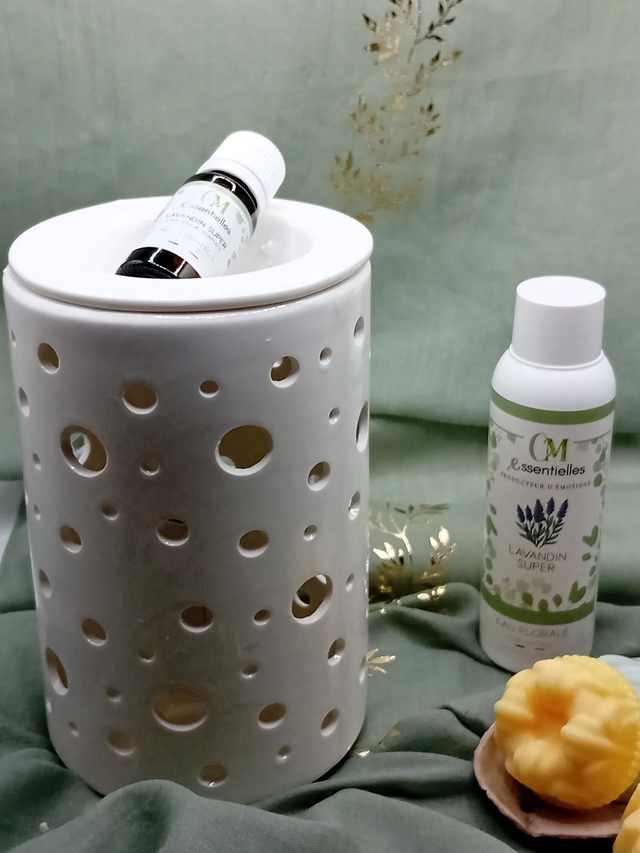 Diffuseur Chaleur douce Calorya n°2