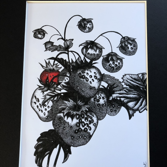 fraises - 31 x 41 cm - encadrement noir 