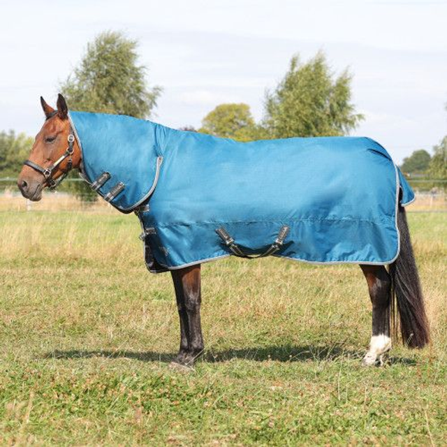 StormX Empra 50g Combi Turnout Rug - TEAL GREEN