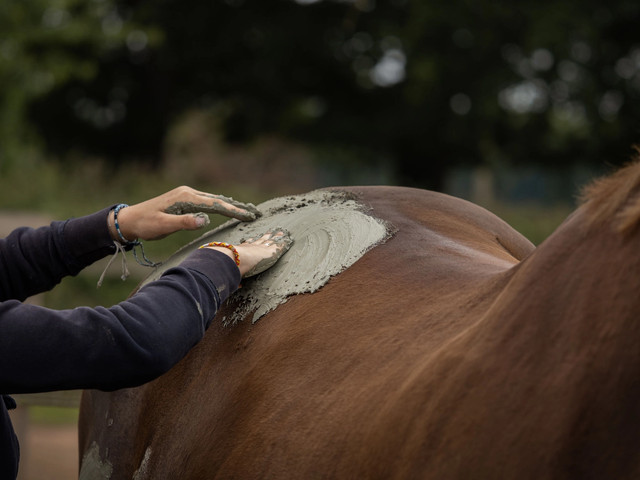 Cataplasme confort musculaire &amp; articulaire 1.5Kg - Nellumbo