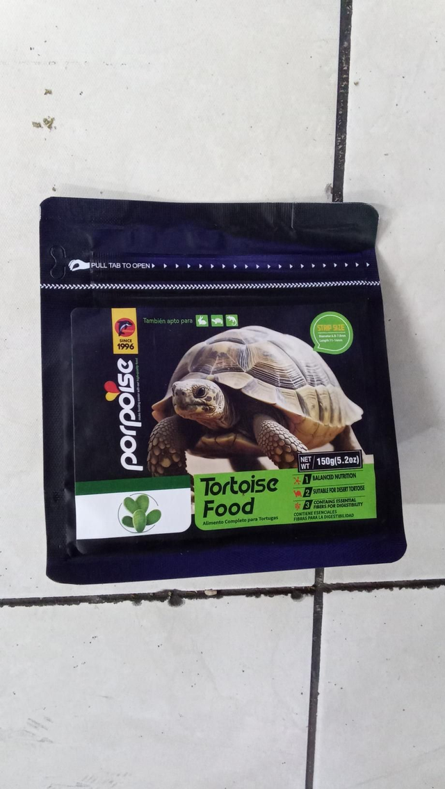 Comida Tortuga Tierra Porpoise