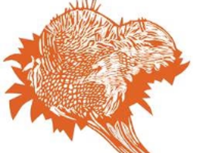 Carte motif Méduse Bleu ciel