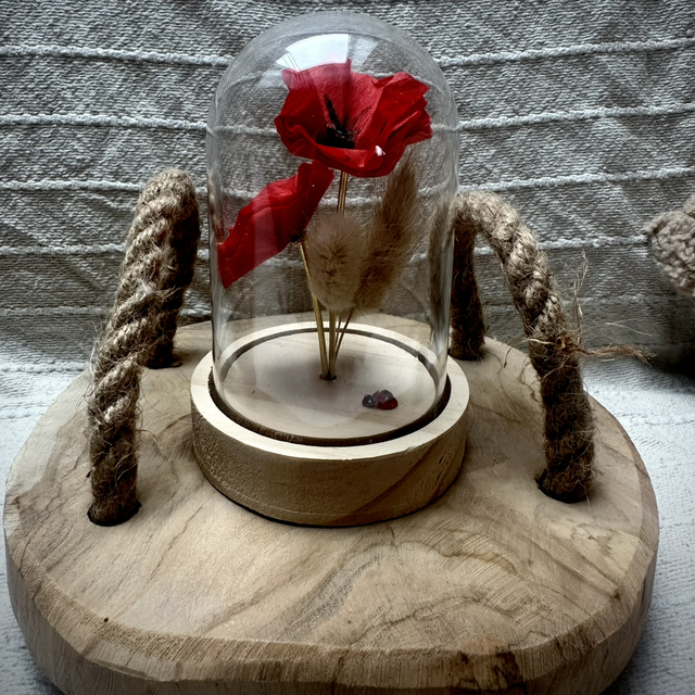 Coquelicot sous cloche pompon marron