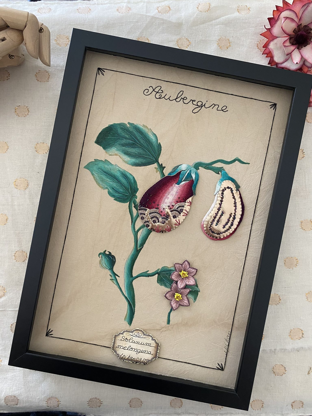 Planche botanique bordeaux rose l'aubergine