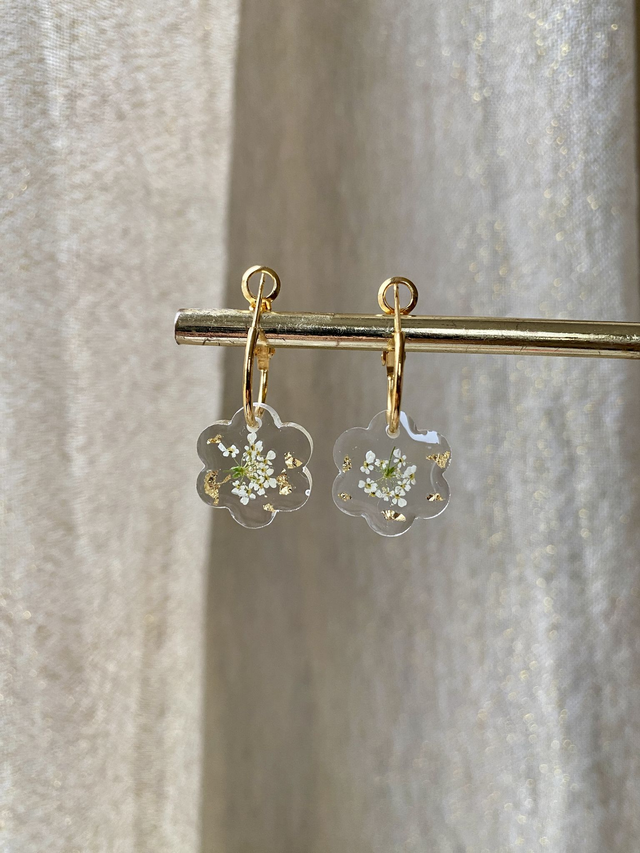 Créoles fleurs pleines - carotte sauvage