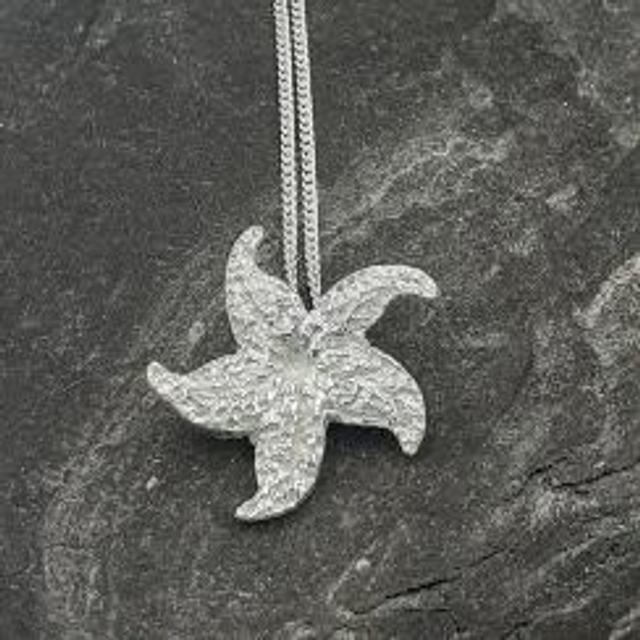 Silver Starfish 