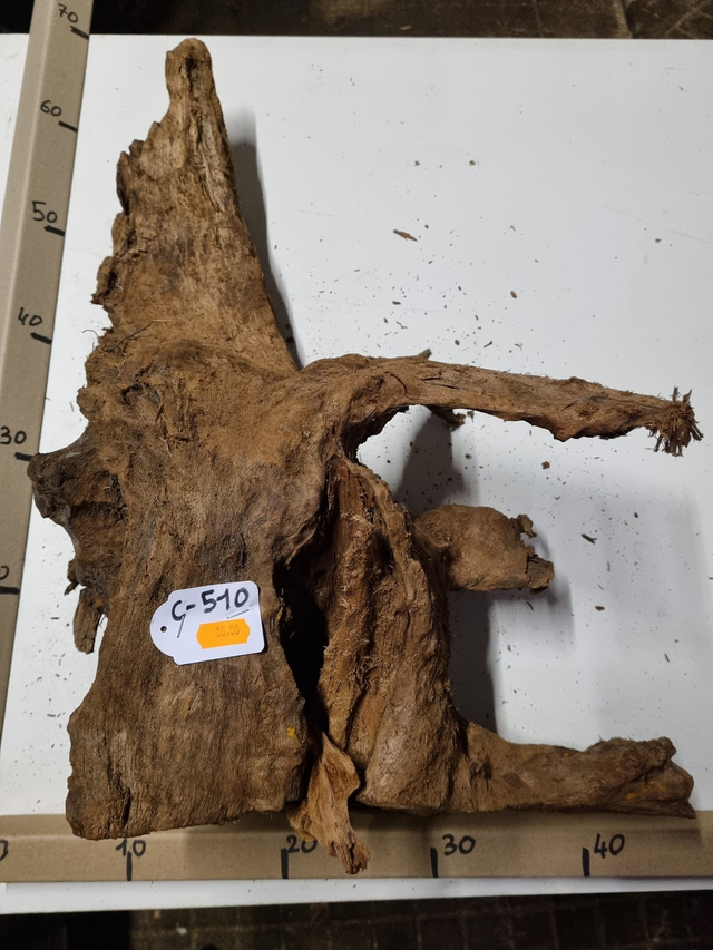 Racine Mangrove C-510