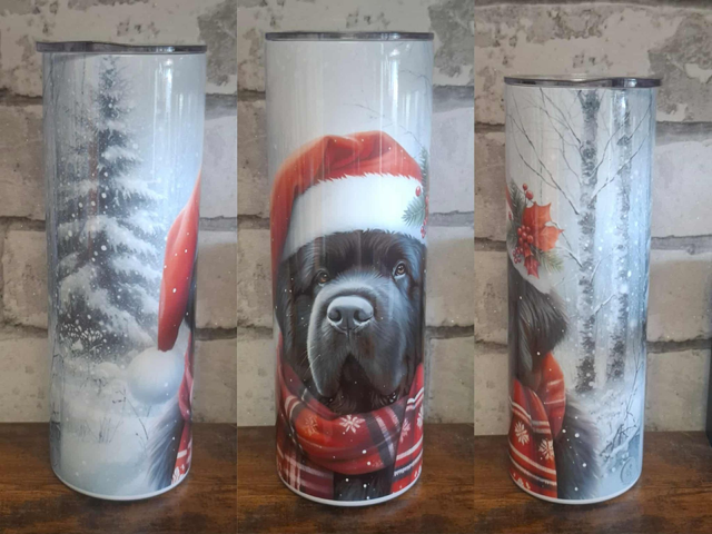 Gourde Canette Noël Terre Neuve