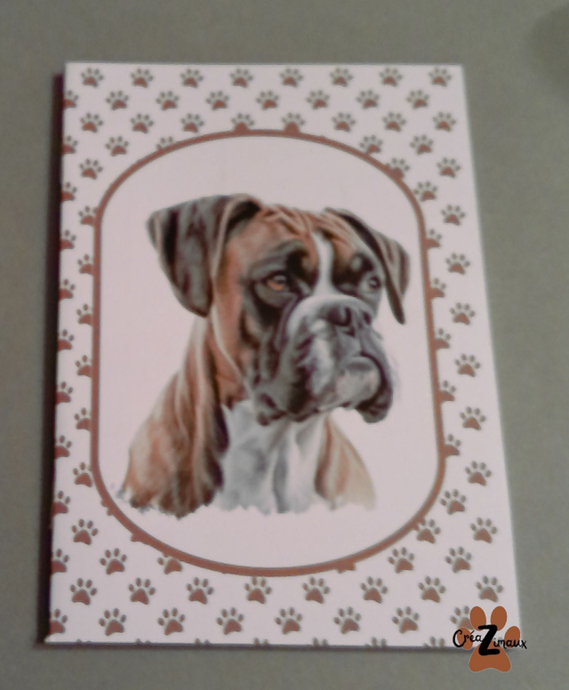 Carnet de note Boxer 