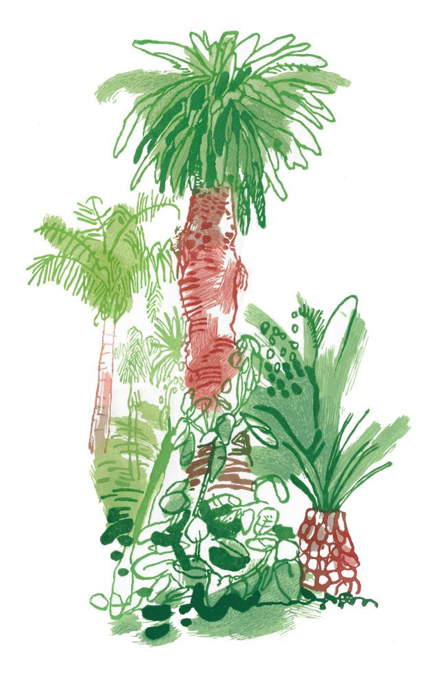 Funchal Municipal Gardens