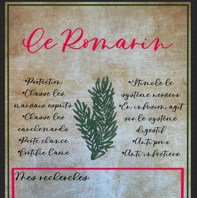 Fiche Sticker « Romarin »
