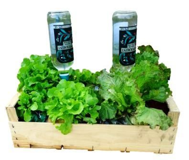 9 goutteurs Solaires prêts à l'usage + 1