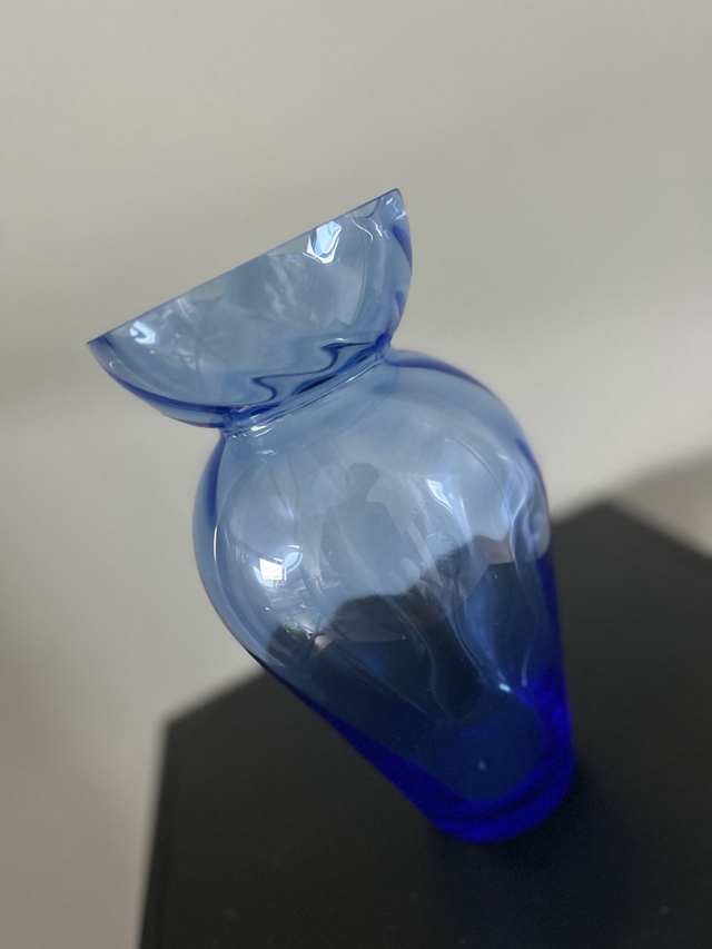 (Helft van) DubbelVaas Willem Noyons blauw