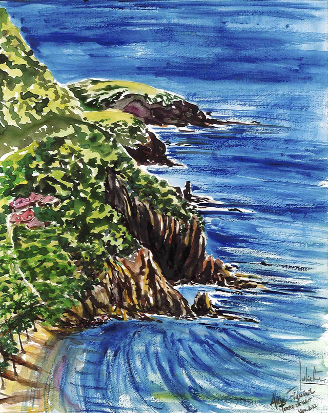 Anse Figuier, Terre de Haut