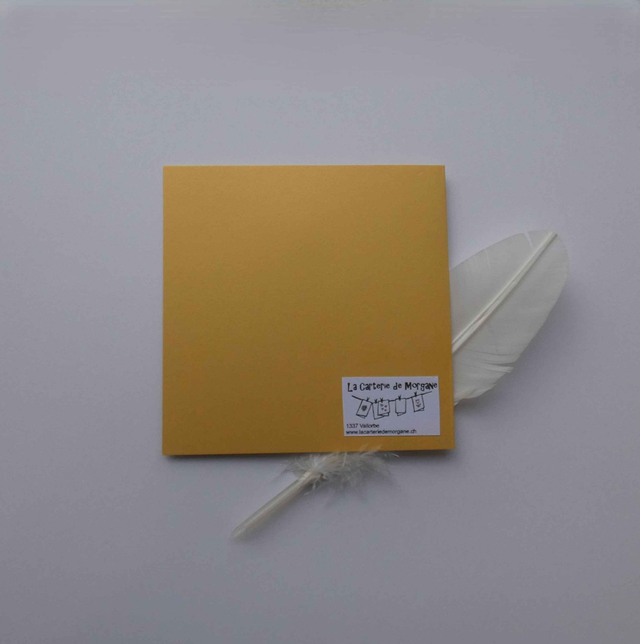 Le sapin le père noël et les cadeaux