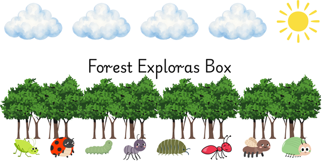 Forest Exploras Box 