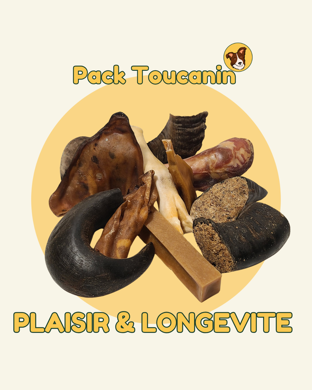 Pack "PLAISIR ET LONGÉVITÉ" mastication