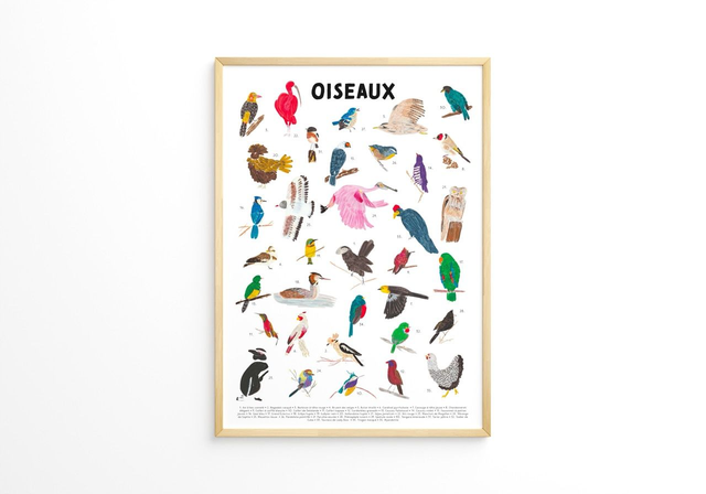 Affiche oiseaux