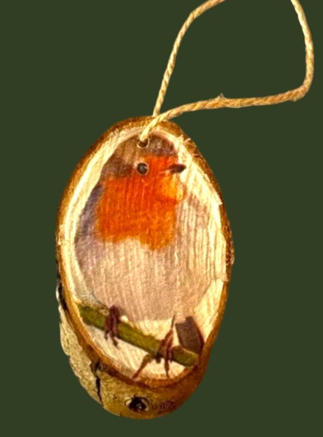 Robin Oval log slice