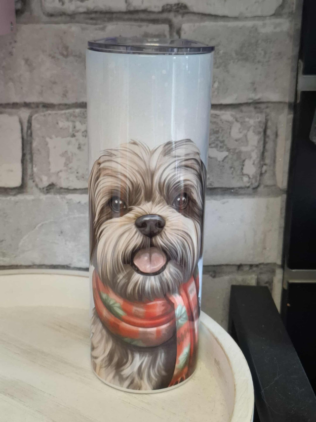 Gourde Canette Lhassa écharpe rouge