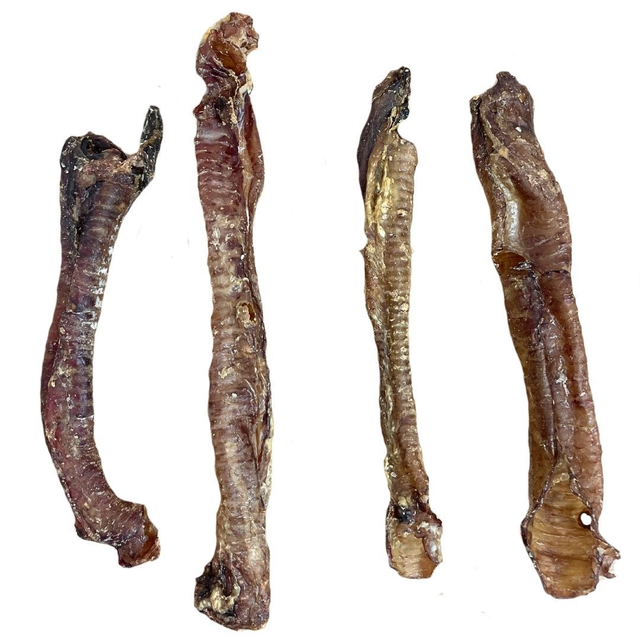 Lamb Trachea single piece