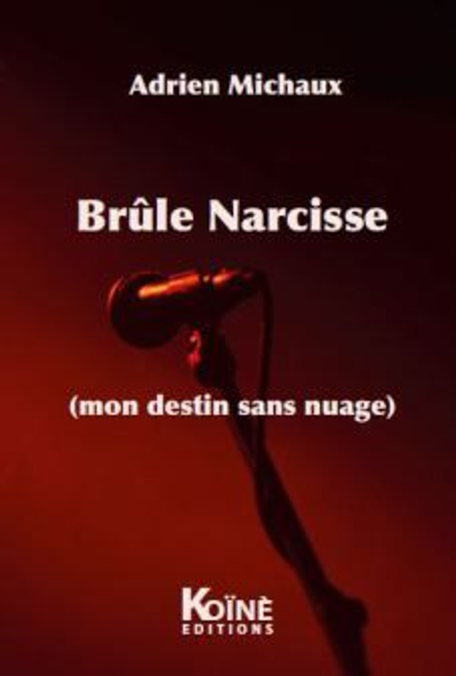 Brûle Narcisse (mon destin sans nuage) d'Adrien Michaux