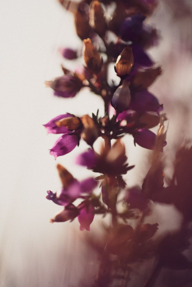 Vue sur l’océan 6