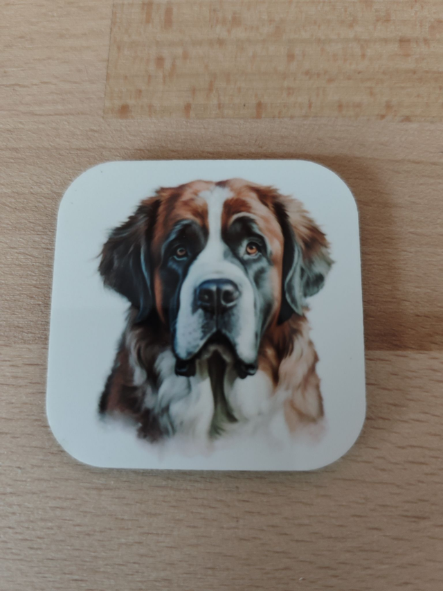 Magnet Saint Bernard