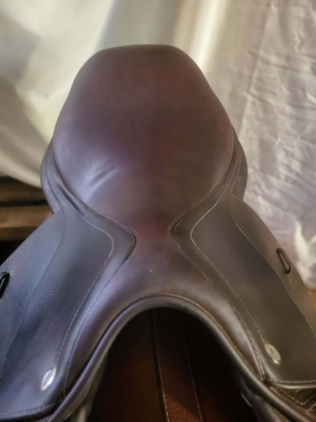 Selle obstacle CWD SE03 - 17" - occasion