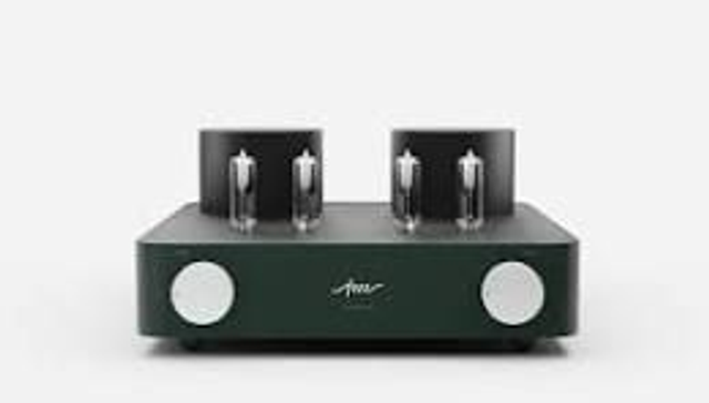 Fezz Audio Alfa Lupi EVO Evegreen CHF 2'180 + Bluetooth CHF 250 + Fernbedienung CHF 250